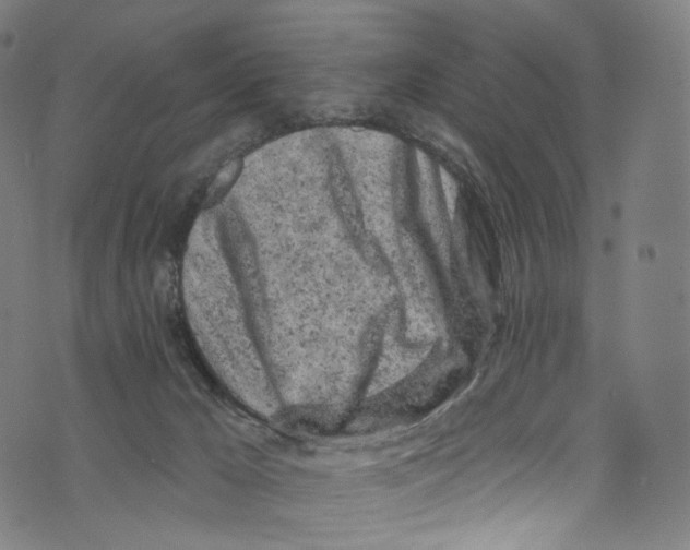 X0000072990029200608211527