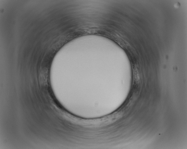 X0000072990030200608211527