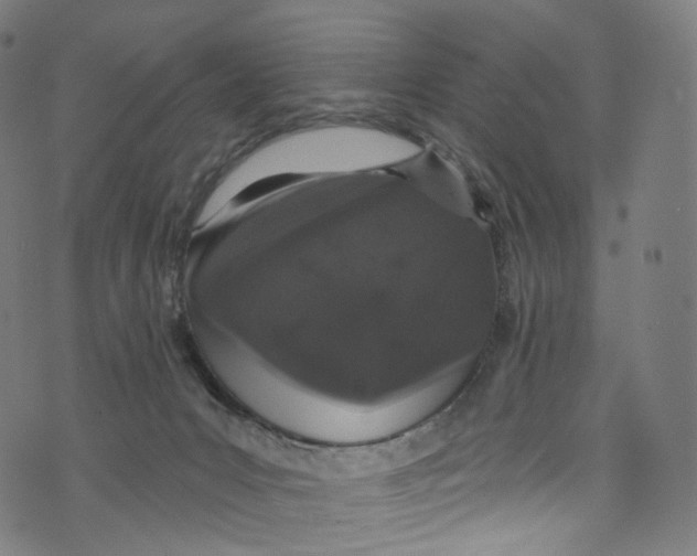 X0000072990031200608211527