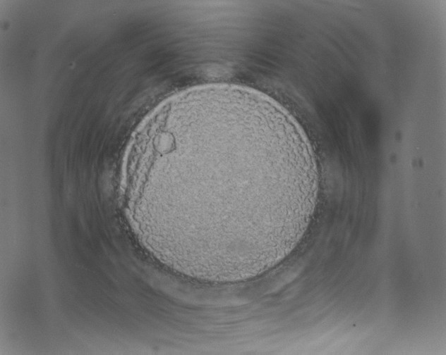 X0000072990032200608211527