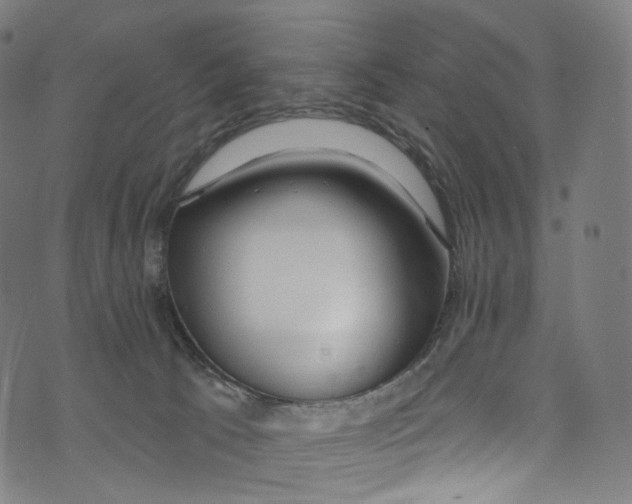 X0000072990033200608211527