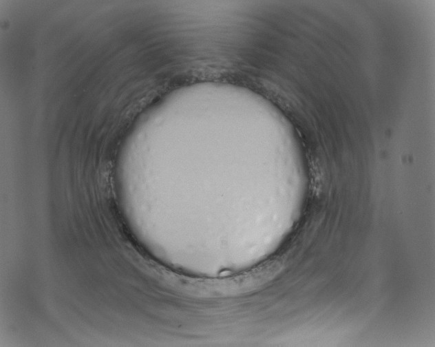 X0000072990034200608211527