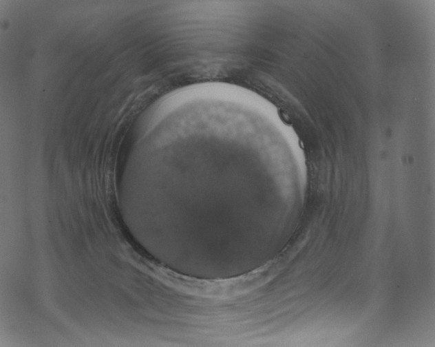 X0000072990035200608211527