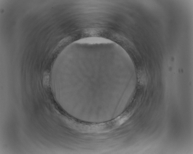 X0000072990036200608211527