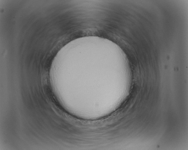 X0000072990038200608211527