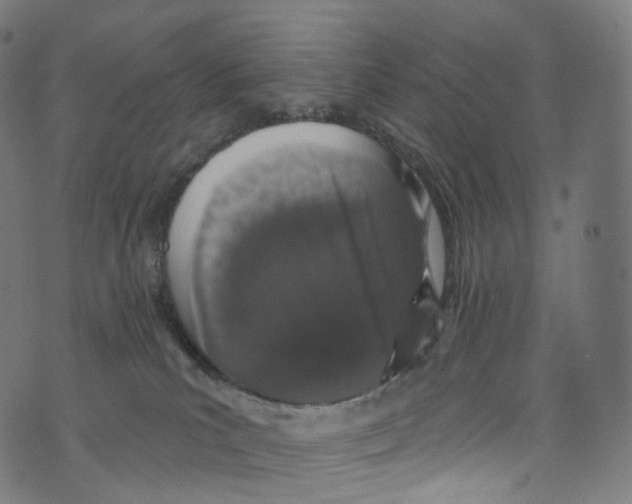 X0000072990039200608211527