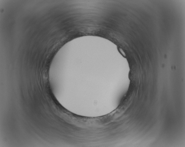 X0000072990040200608211527