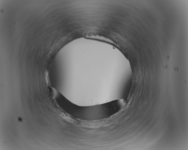 X0000072990041200608211527