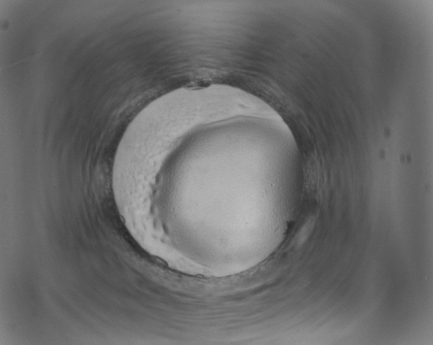 X0000072990043200608211527