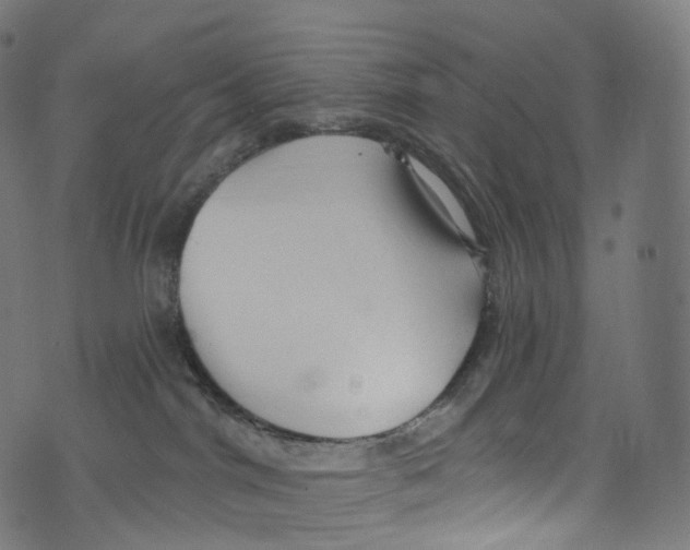 X0000072990044200608211527