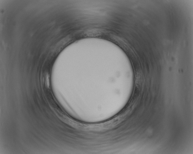 X0000072990046200608211527