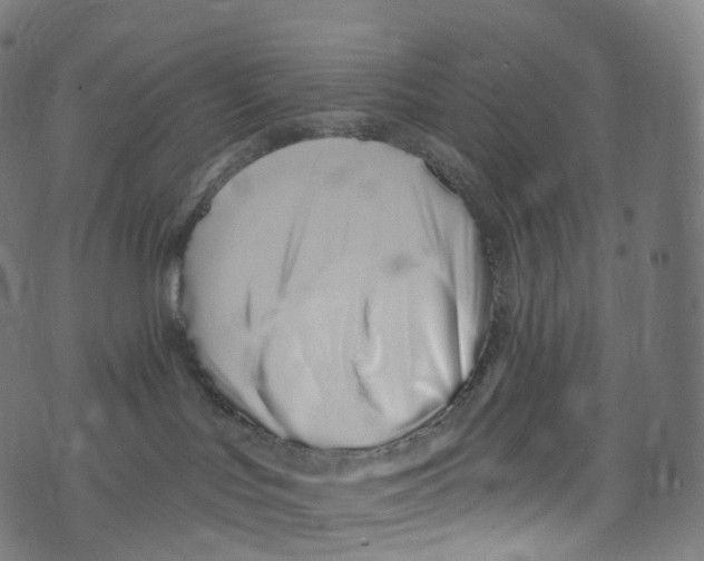 X0000072990047200608211527