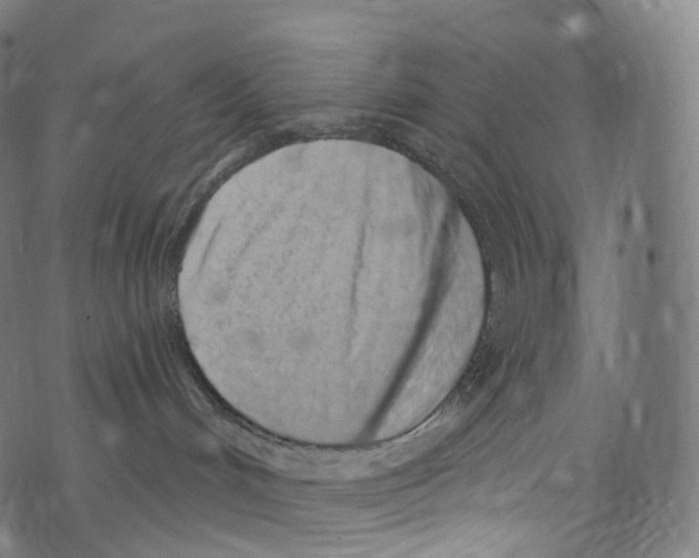 X0000072990048200608211527