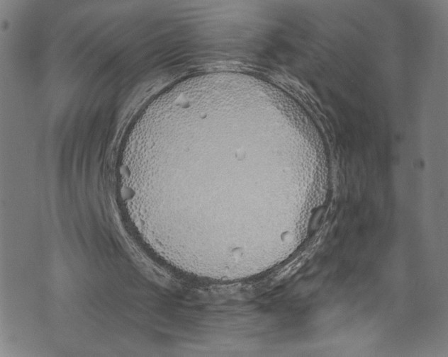 X0000072990049200608211526