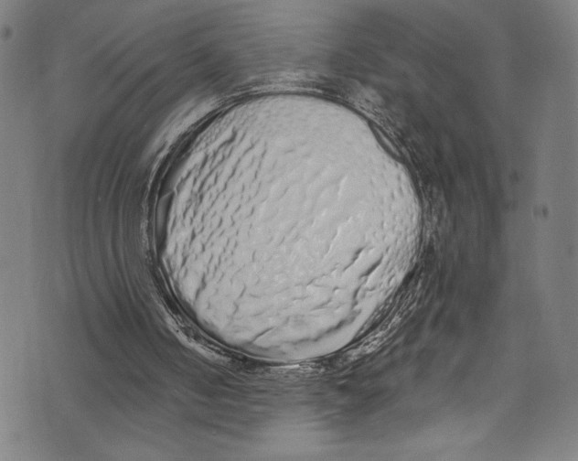 X0000072990050200608211526