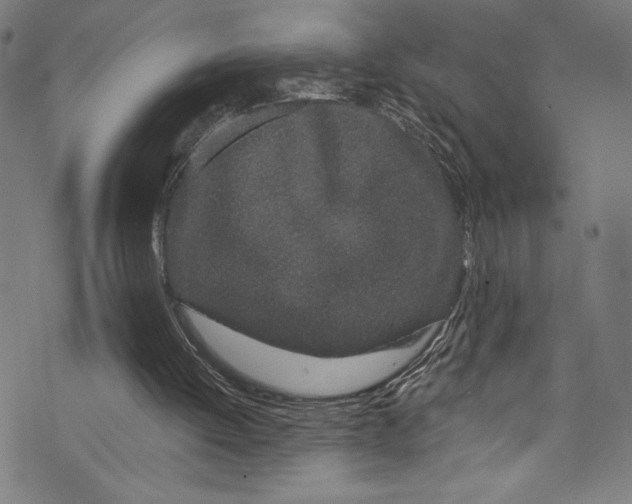 X0000072990052200608211526