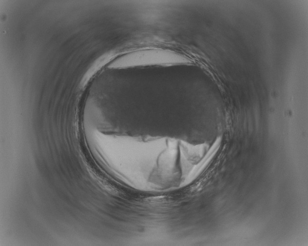 X0000072990054200608211526