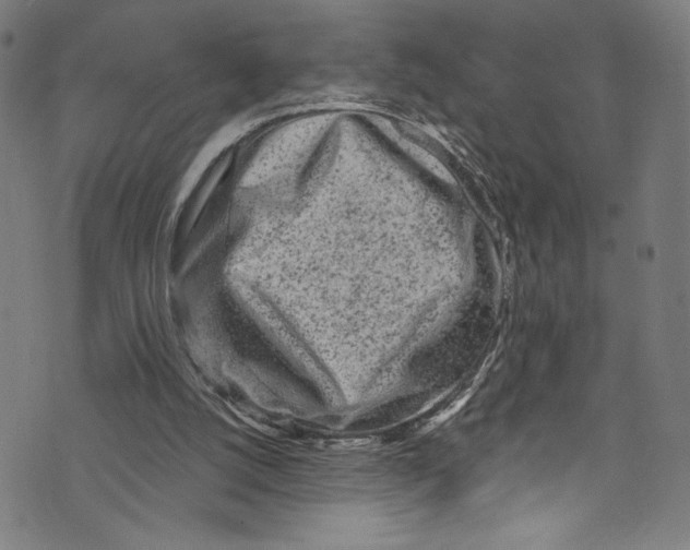 X0000072990056200608211526