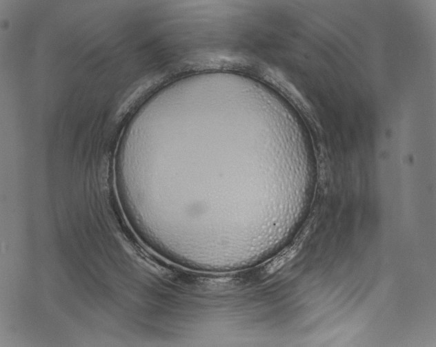 X0000072990058200608211526