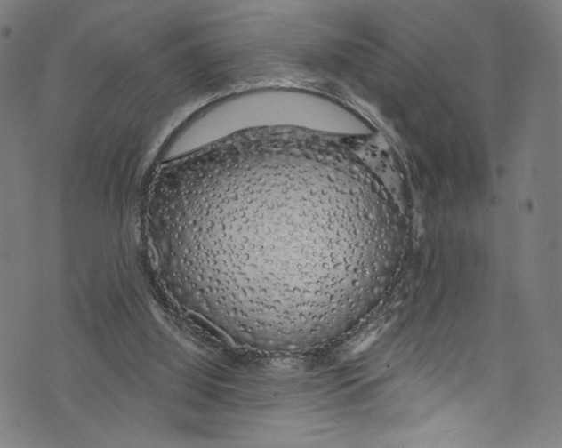 X0000072990060200608211526