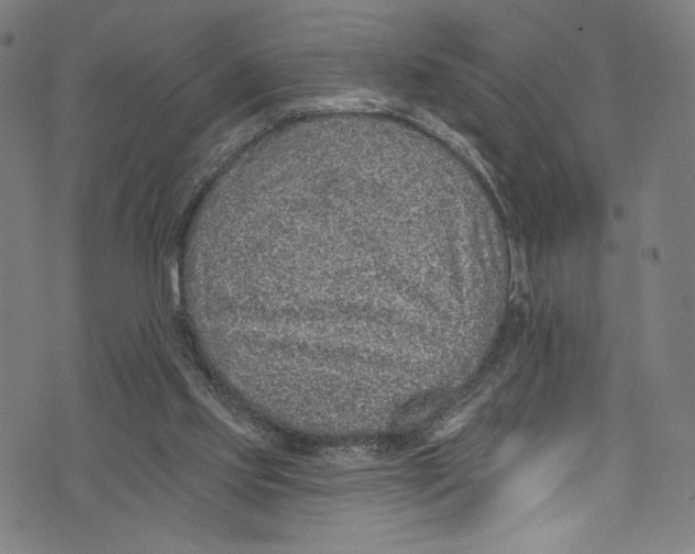 X0000072990061200608211526