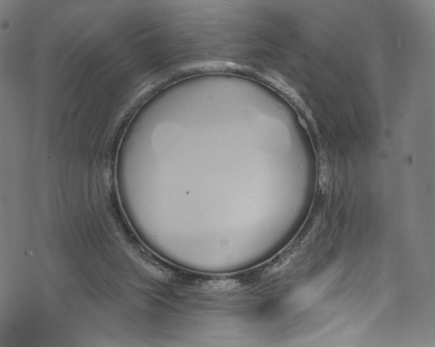 X0000072990063200608211526