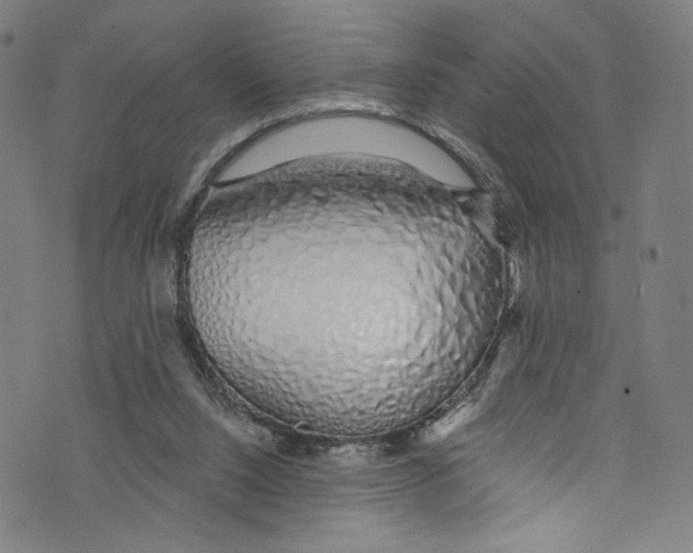 X0000072990064200608211526