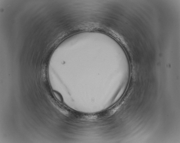 X0000072990065200608211526