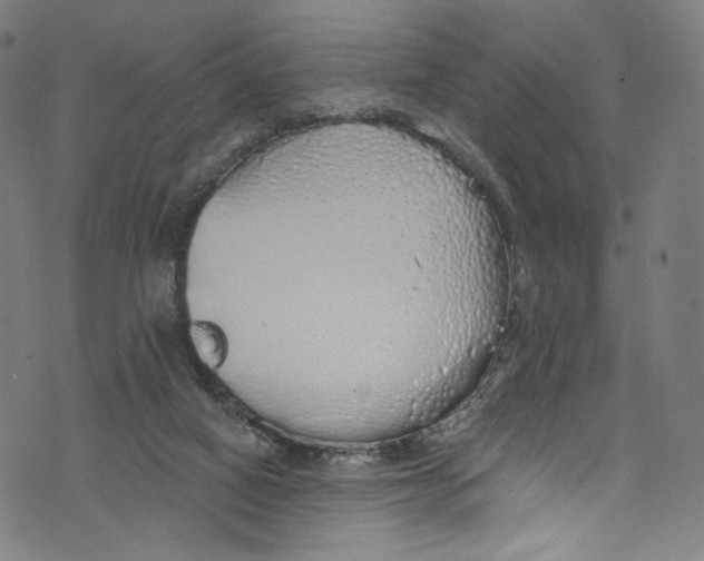 X0000072990066200608211526