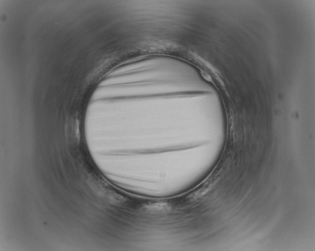 X0000072990067200608211526