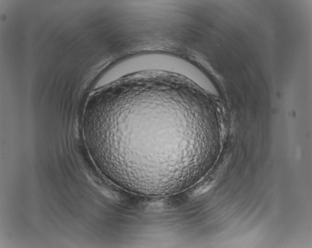 X0000072990068200608211526