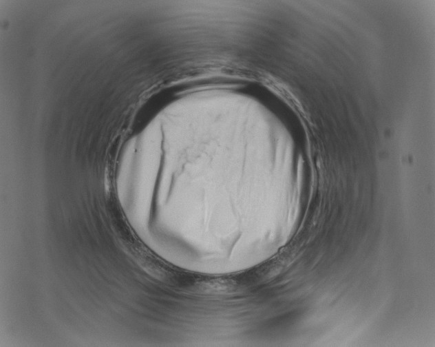 X0000072990069200608211526