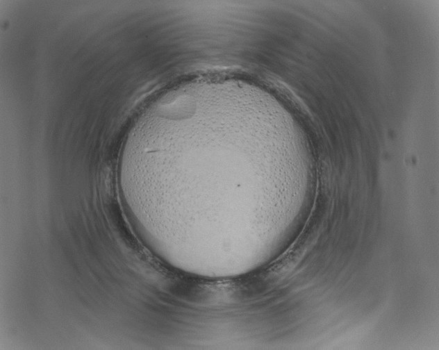 X0000072990071200608211526