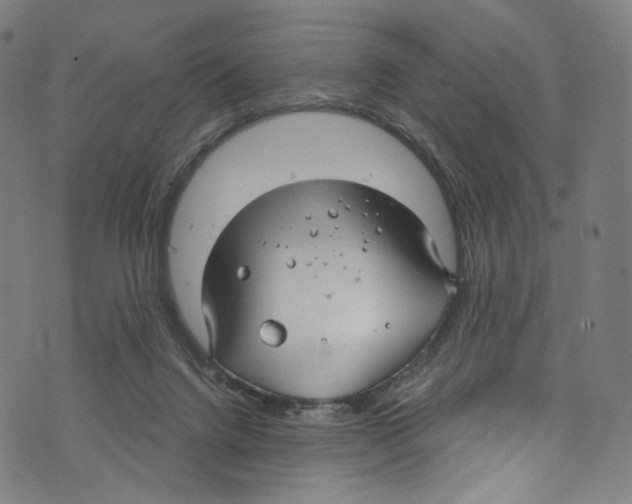 X0000072990072200608211526