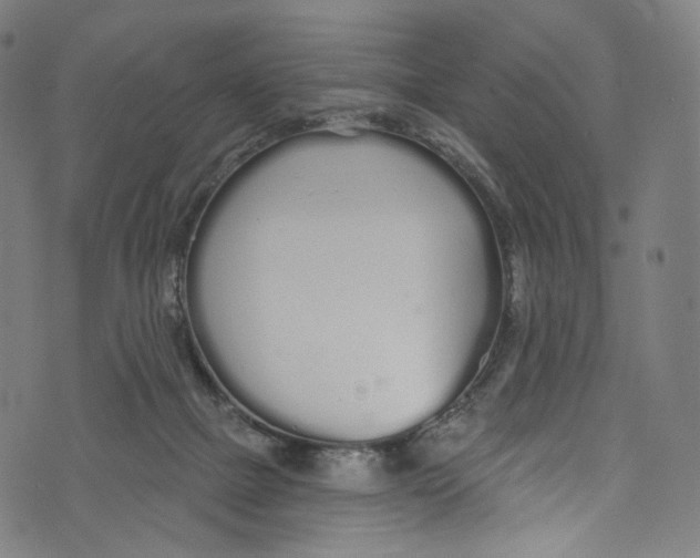 X0000072990073200608211526