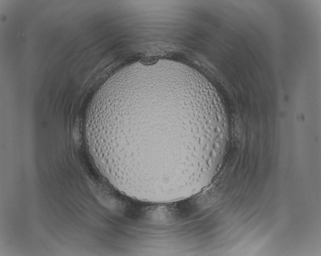 X0000072990074200608211526