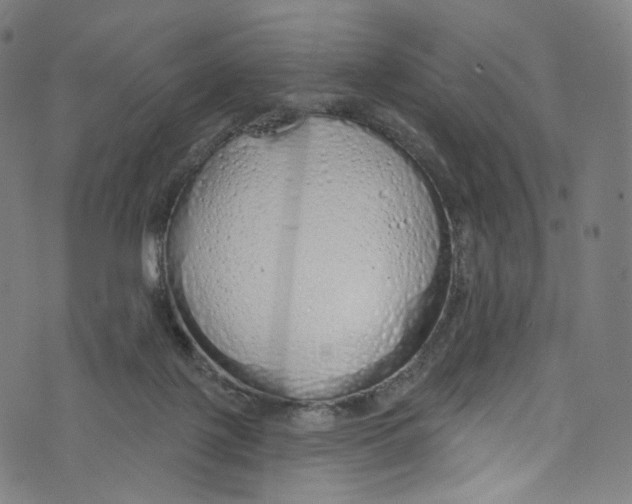 X0000072990075200608211526