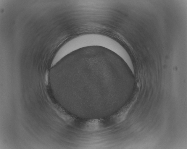 X0000072990076200608211526