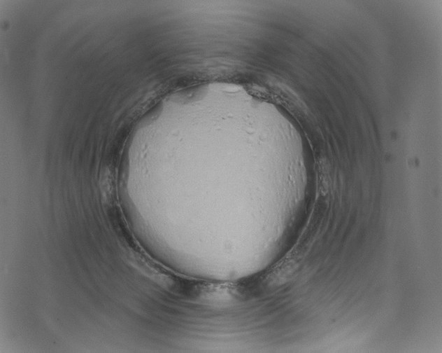 X0000072990077200608211526