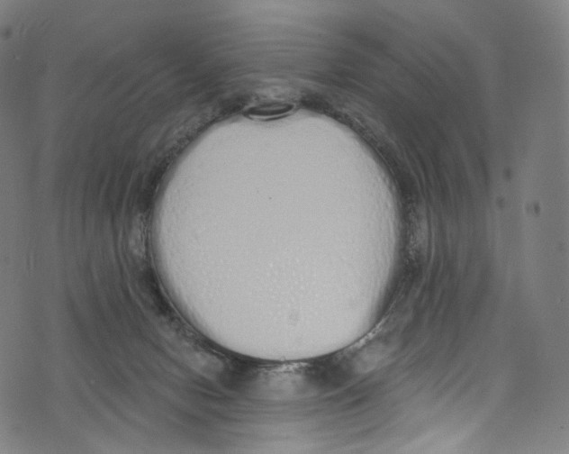 X0000072990078200608211526