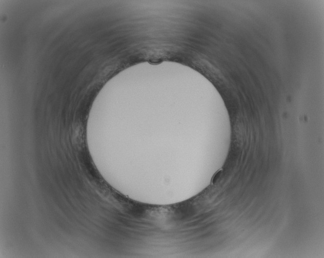 X0000072990079200608211526