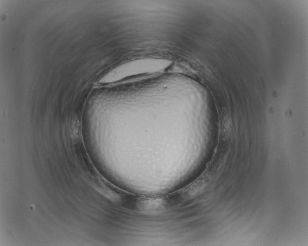 X0000072990081200608211526