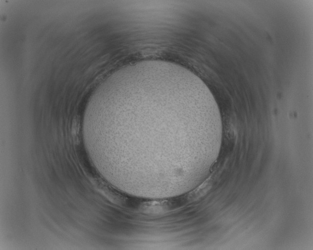 X0000072990082200608211526