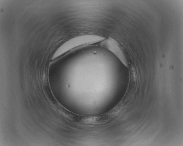 X0000072990084200608211526