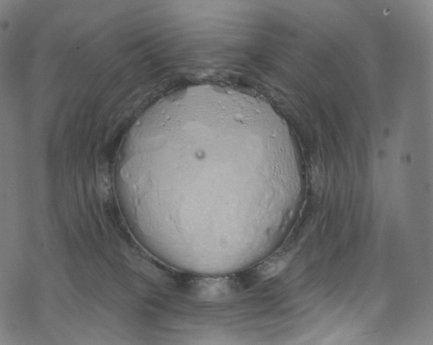 X0000072990085200608211527