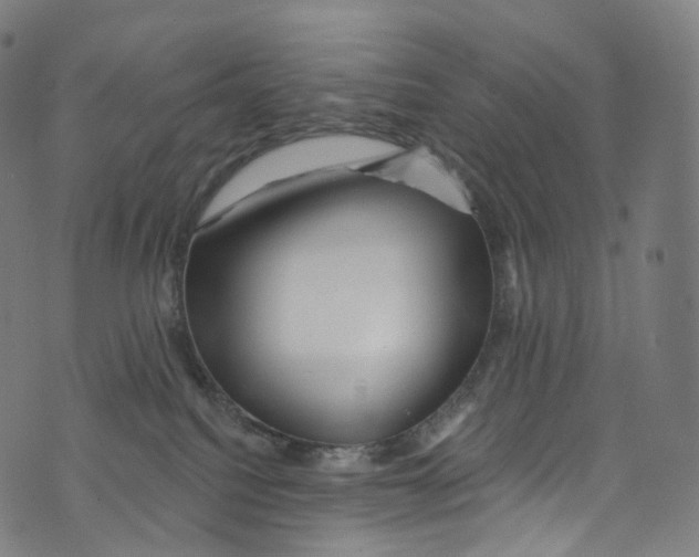 X0000072990088200608211527