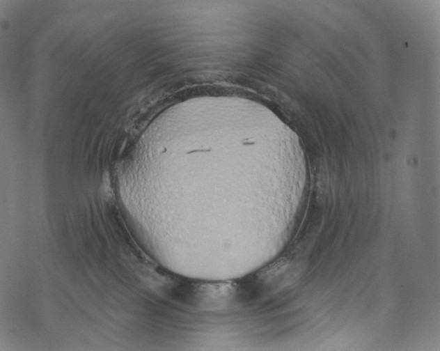 X0000072990089200608211527