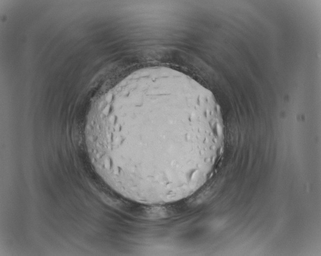 X0000072990091200608211527