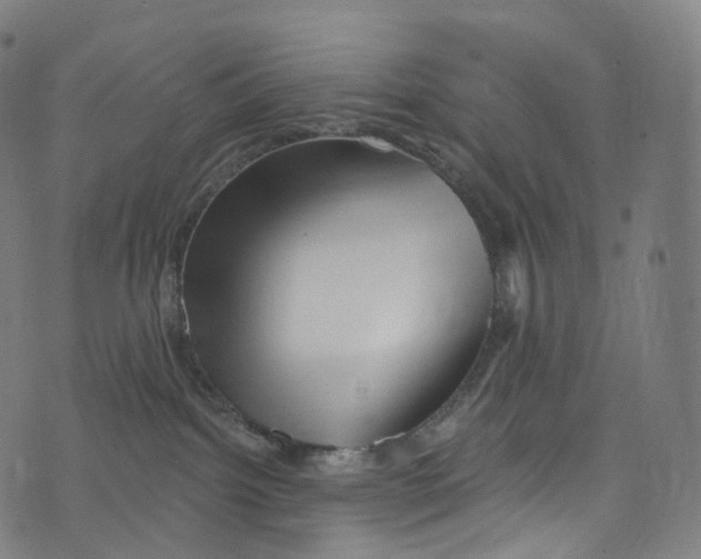 X0000072990092200608211527