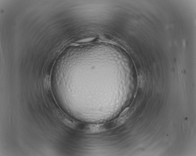 X0000072990093200608211527